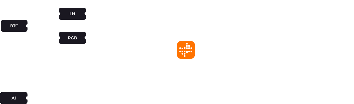 bitdance labs