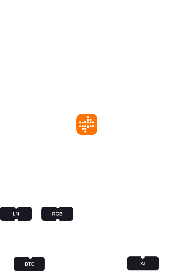 bitdance labs